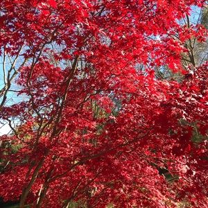 Meet your Posher, Darcy